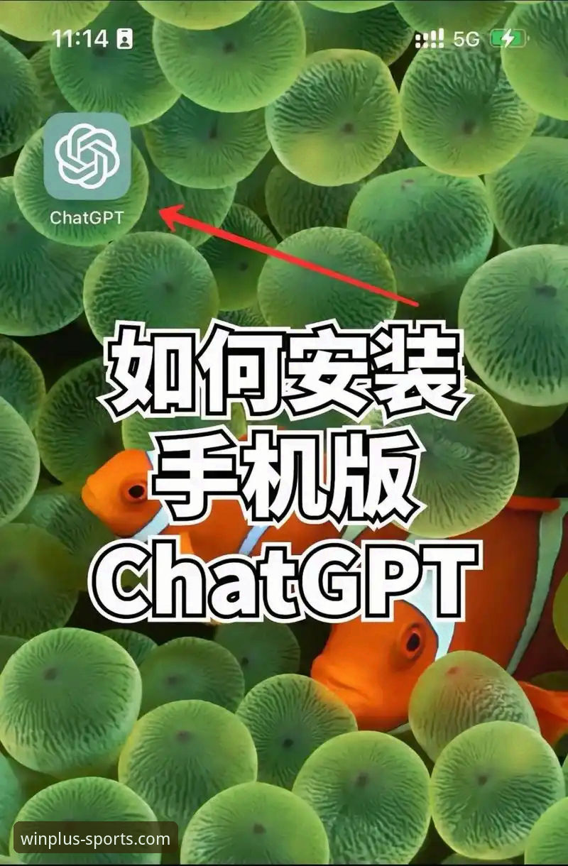 盈嘉体育平台注册安装实用指南：三步搞定官方版下载与体验